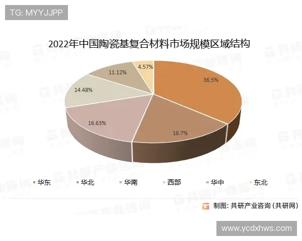 厄德高在球场上的精彩表现与未来发展潜力分析